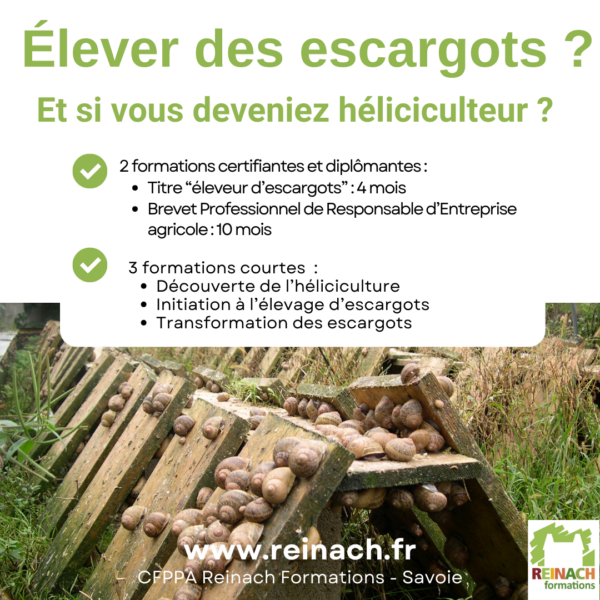 Communication élevage d’escargots