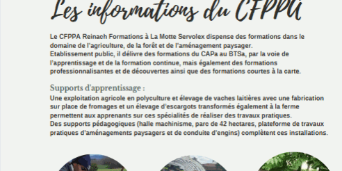 Capture d’écran 2025-07-10 130606