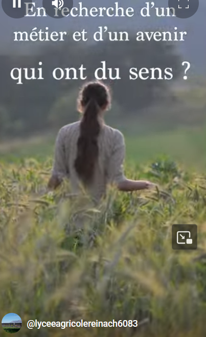 Capture d’écran 2025-07-20 225332