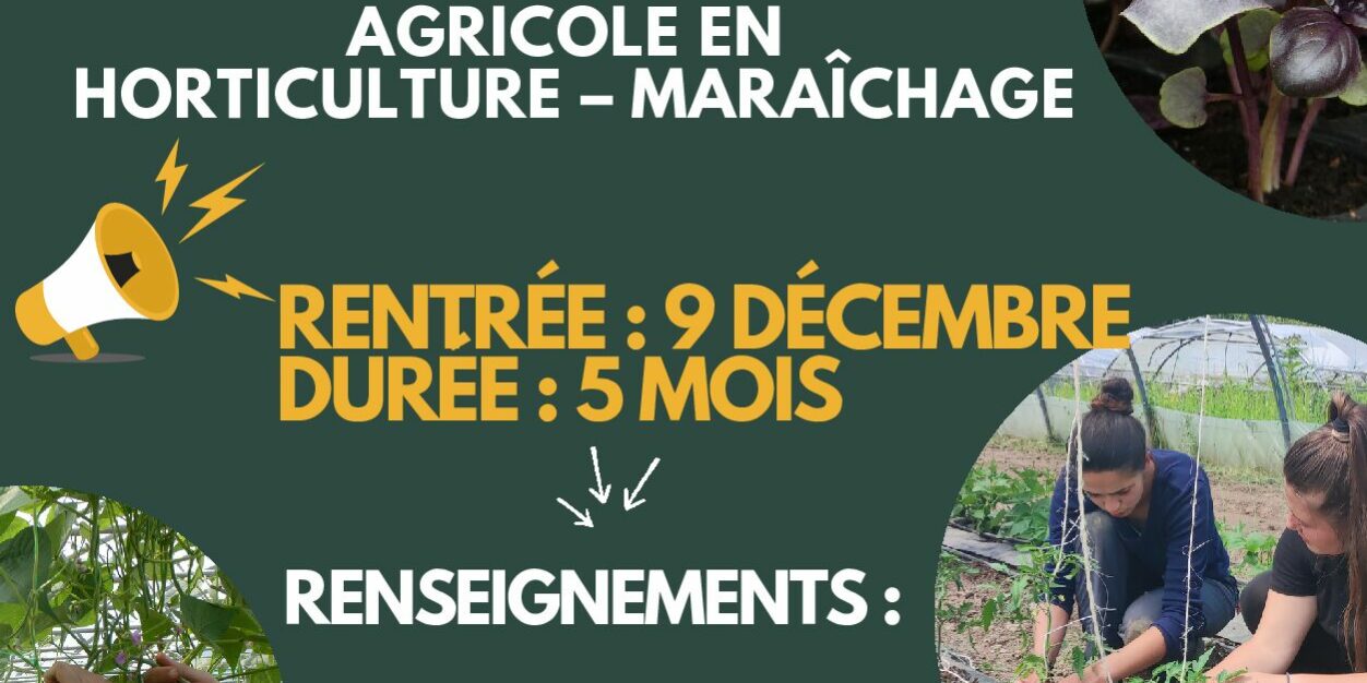 Ouvrier HM pour site internet