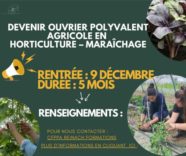 Ouvrier HM pour site internet